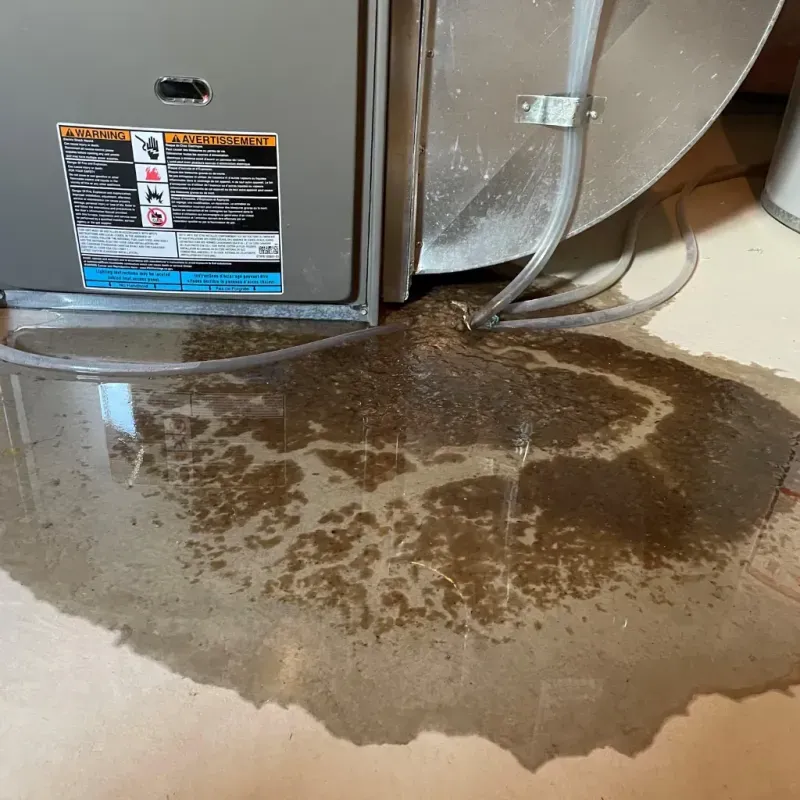 Appliance Leak Cleanup in Berkley, MA